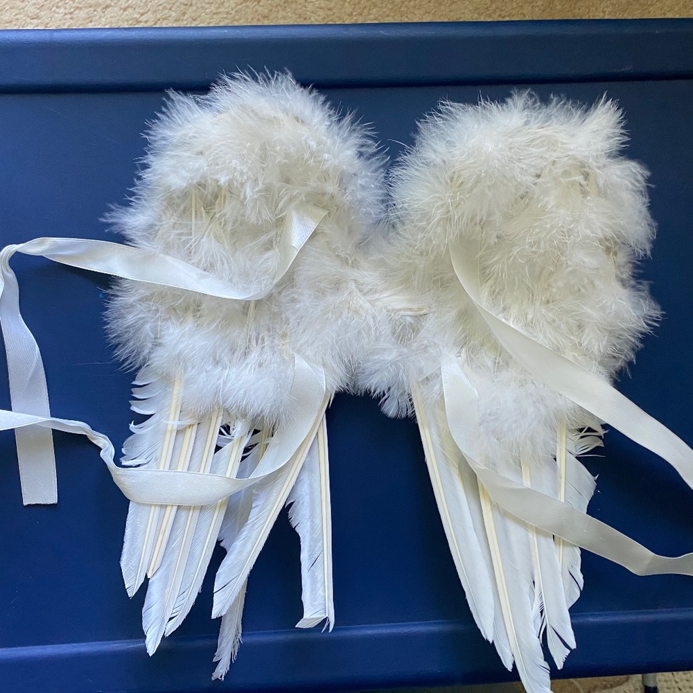 Baby Cupid/Angel Wings